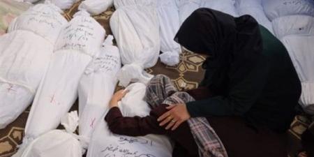استشهاد
      11
      فلسطينيا
      فى
      قصف
      للاحتلال
      بحى
      الرمال
      غربى
      غزة - نجد الاخبارية