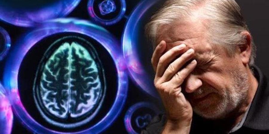 دراسة
      تكشف
      عن
      أنظمة
      غذائية
      تقلل
      من
      الإصابة
      بالخرف..
      تعرف
      على
      التفاصيل - نجد الاخبارية