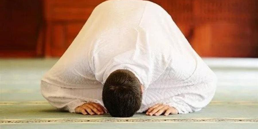 ما
      حكم
      الصلاة
      عند
      حدوث
      الزلازل؟..
      أمين
      الفتوى
      يوضح - نجد الاخبارية