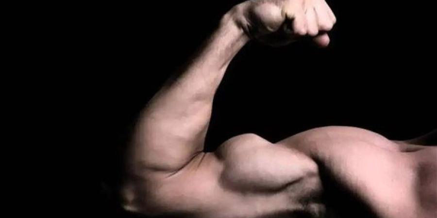 مكملات
      طبيعية
      لتعزيز
      نمو
      العضلات
      ..
      تعرف
      عليها - نجد الاخبارية